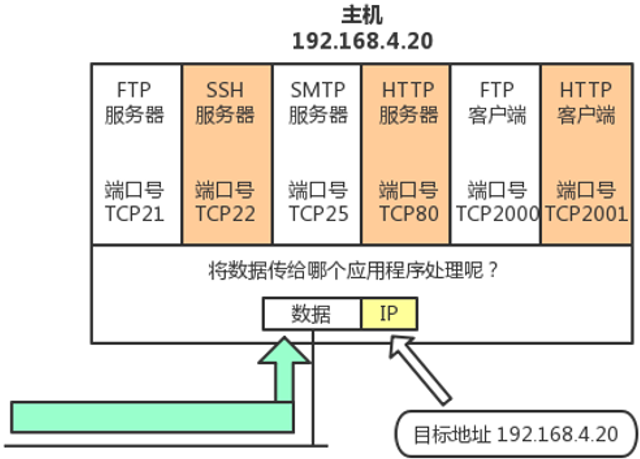 image-20250315212916691